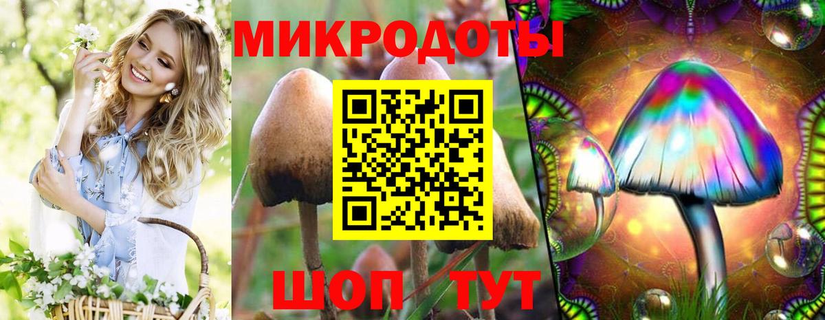 Галлюциногенные грибы Cubensis Кызыл