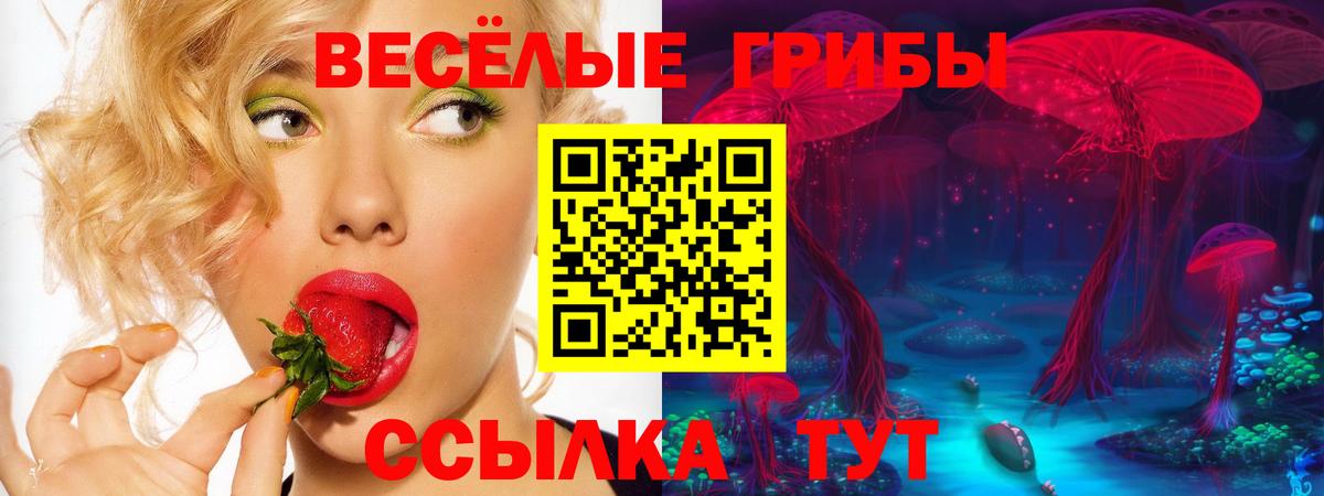 Кызыл  дарнет шоп  Вход с VPN  Галлюциногенные грибы Magic Shrooms 